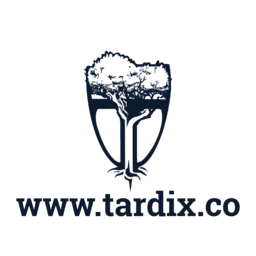 Archive - Septembre 2025 Logo