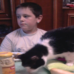 Foto do Guillaume criança com um gato